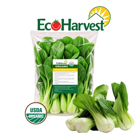 Rau cải tươi EcoHarvest