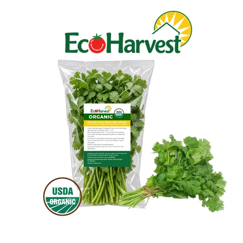 Ngò rí EcoHarvest