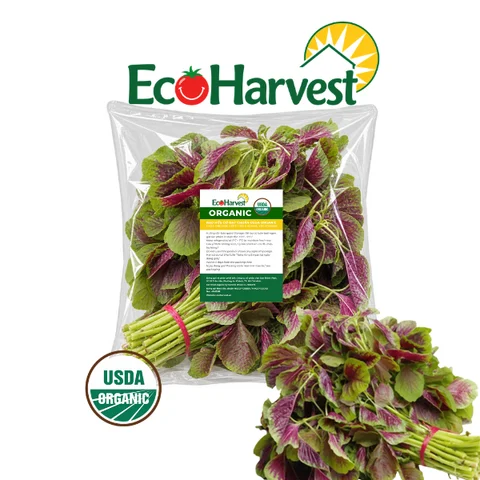 Rau dền EcoHarvest