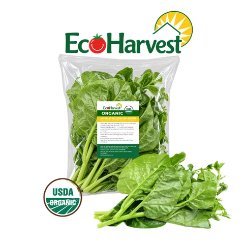 Rau mồng tơi EcoHarvest