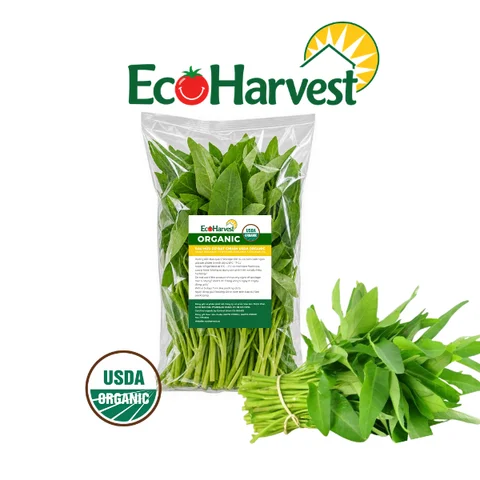 Rau muống EcoHarvest